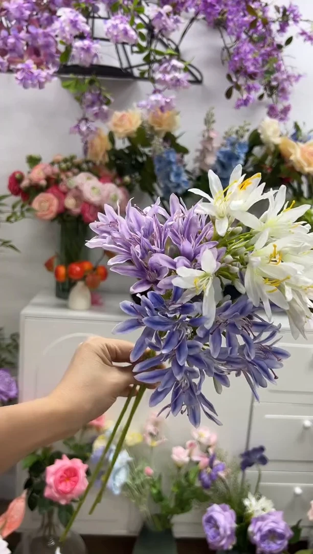 3枝混色百子莲