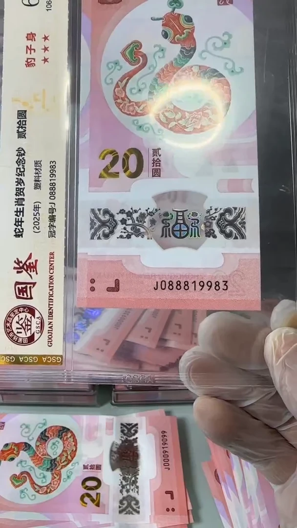 【闪购商品】塑料088819983-蛇钞单张！