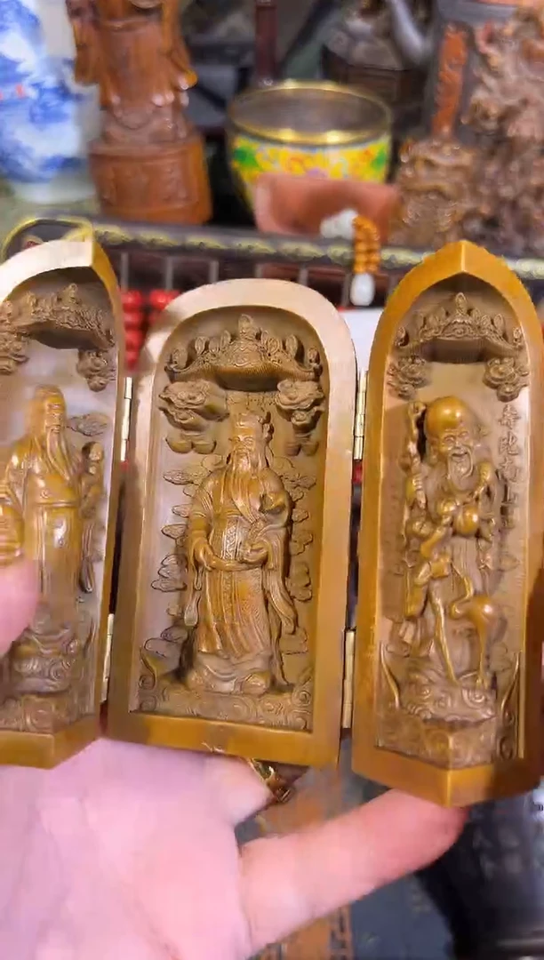 黄杨木1111111111111111111