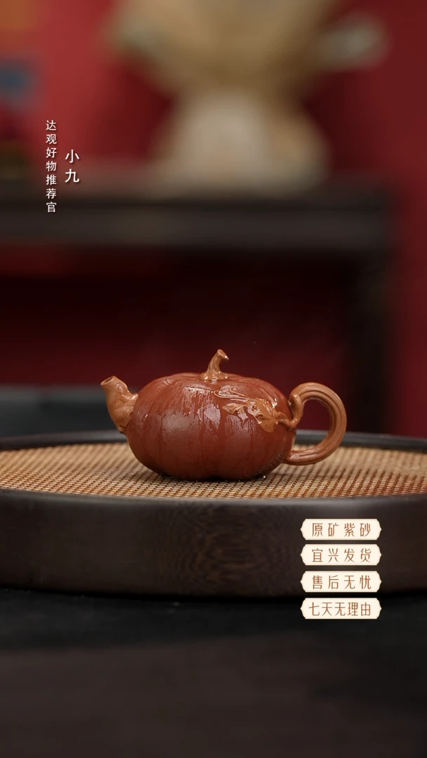 九DG132南瓜-黄张微金降坡250