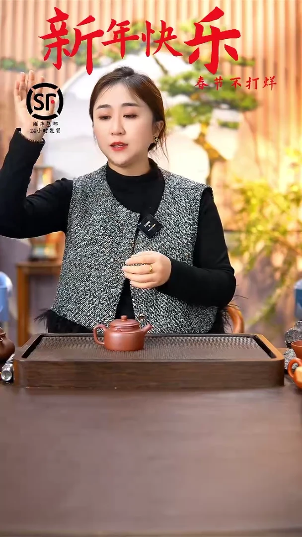 【闪购商品】紫砂茶壶原矿手工紫砂壶1把