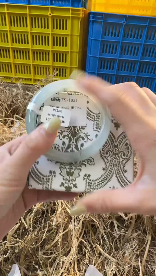 未镶嵌手镯石英质玉1021