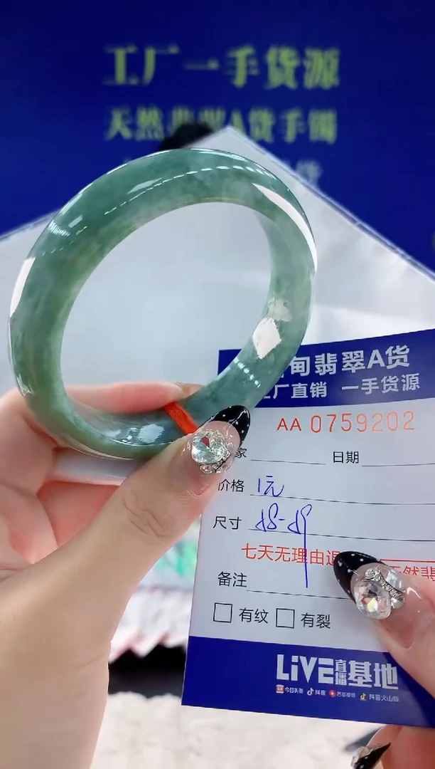 未镶嵌手镯翡翠02天然翡翠A货