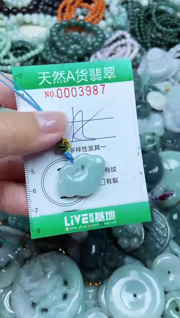 颈饰未镶嵌翡翠天然A货 支持复检