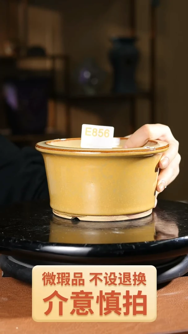 856 S1新款小圆盆