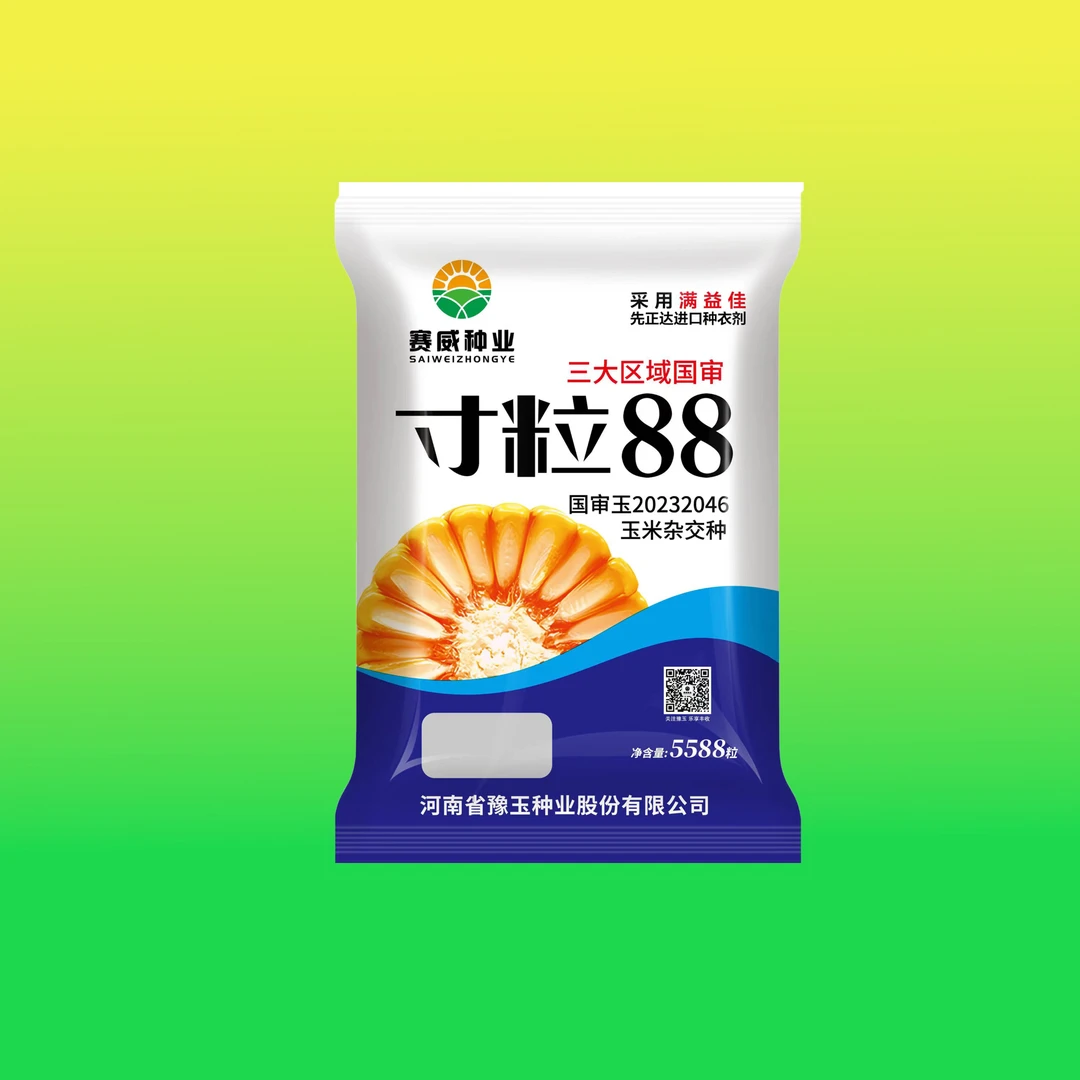 耐密高产新方向寸粒88