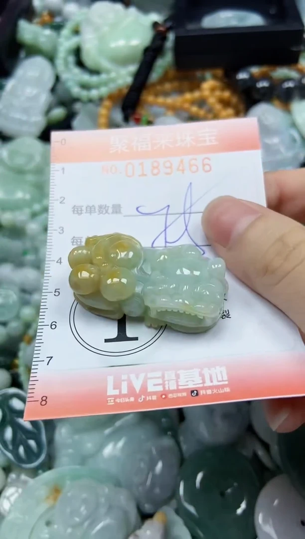 翡翠未镶嵌颈饰闪购0189466