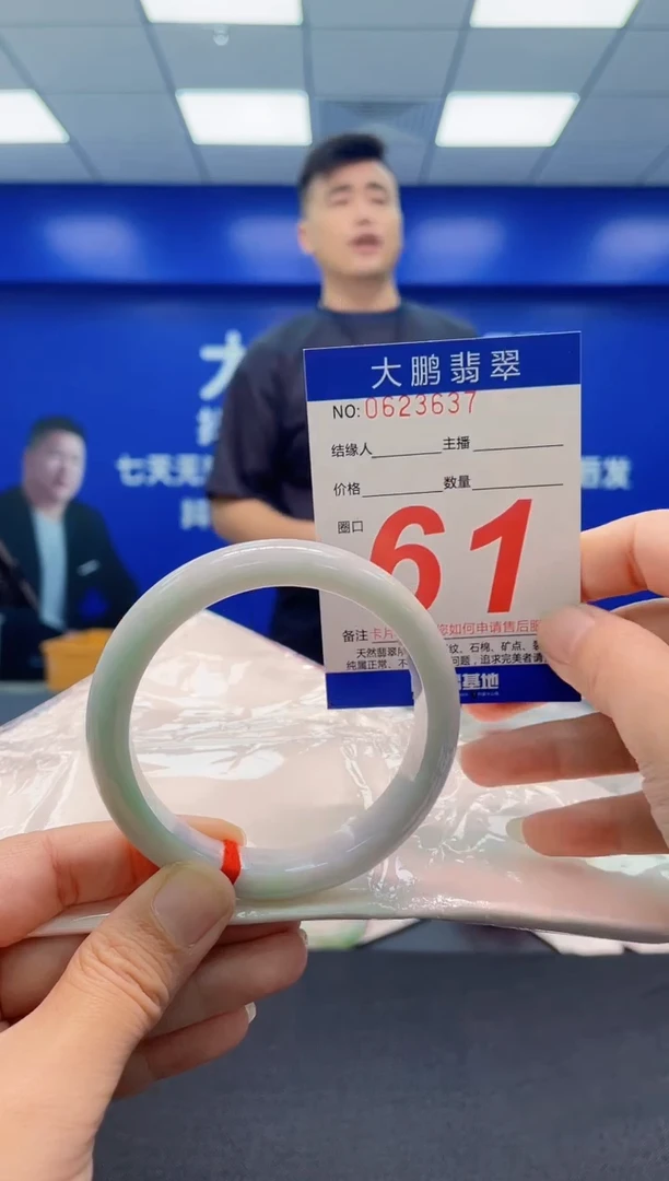未镶嵌手镯翡翠AAAAAAAAA