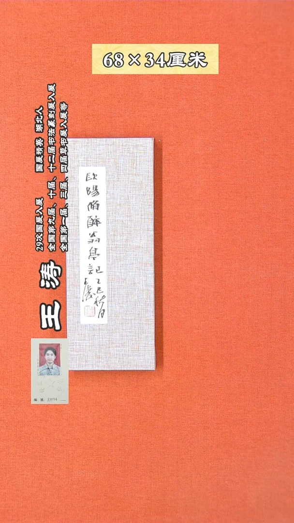 书法205R王涛书法作品