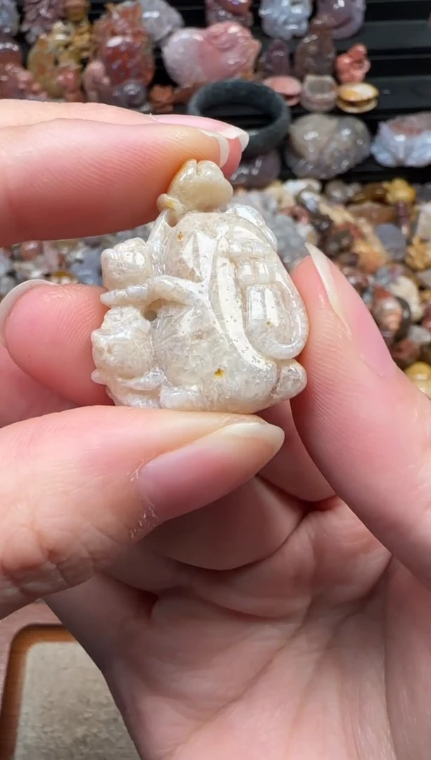 颈饰未镶嵌硅化珊瑚（珊瑚玉）289