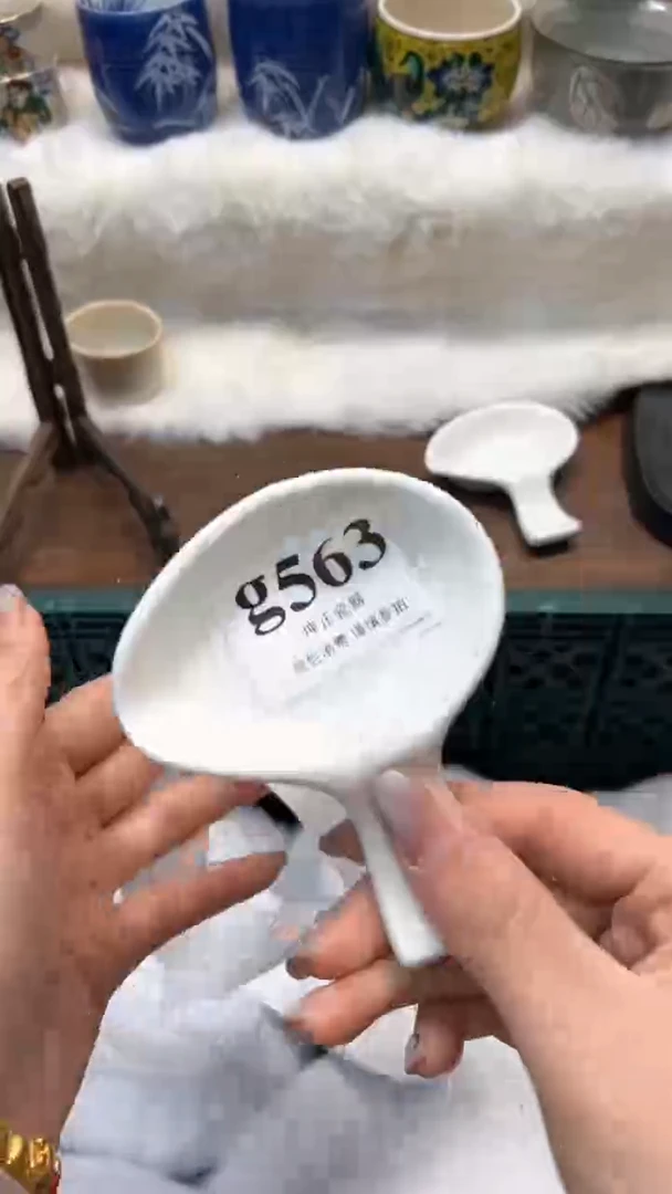 【闪购商品】瓷片          g563