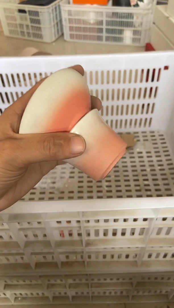 【闪购商品】杯无运费险略有微瑕介意勿拍