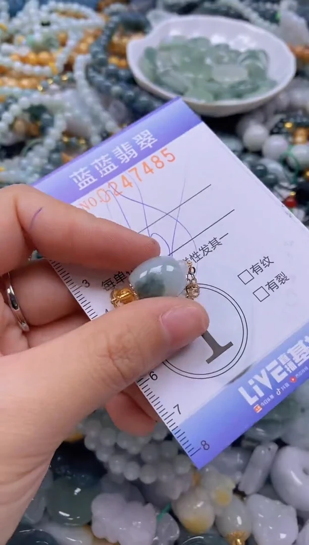 翡翠未镶嵌颈饰闪购0247485