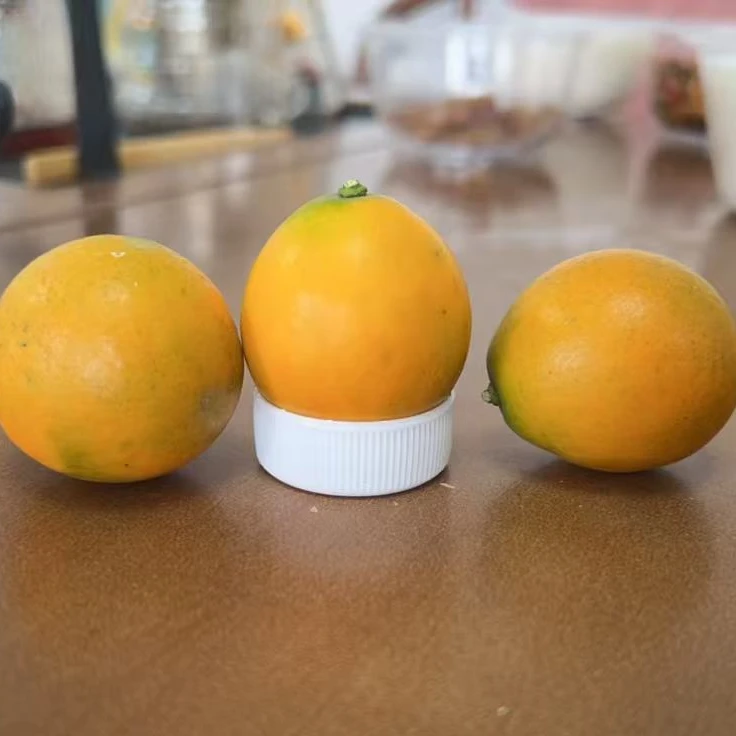 广西融安木寨滑皮金桔种植基地