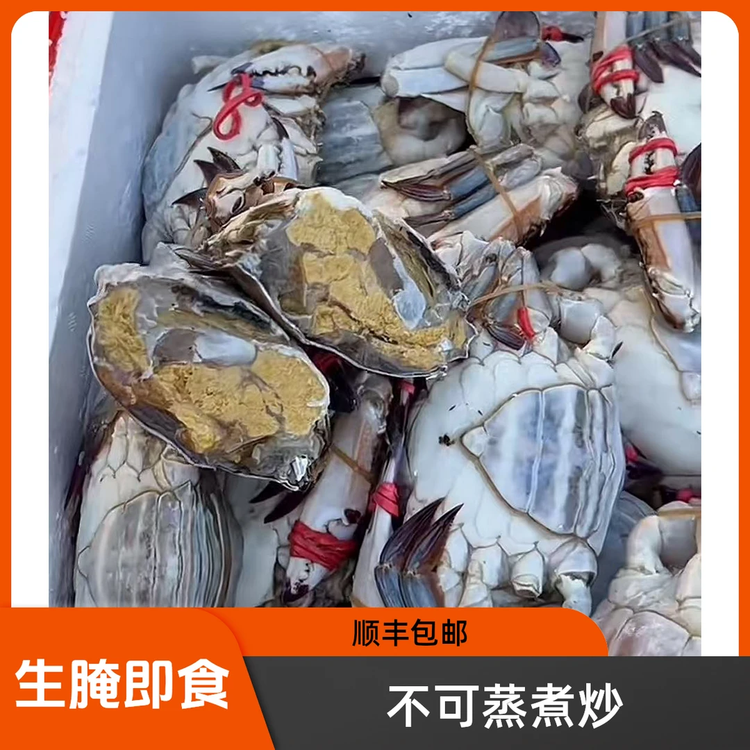 【顺丰】精品黄膏大母蟹 【单只半斤左右】一卤鲜生腌呛蟹3斤装