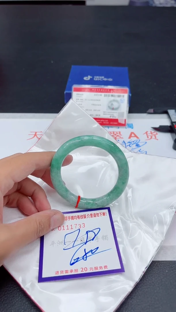 未镶嵌手镯翡翠111111111