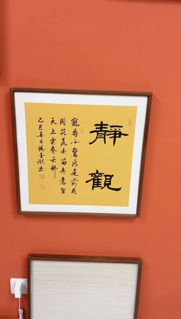 书法杨金澎手写书法//静观  斗方