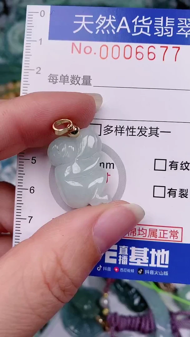 【闪购商品】翡翠颈饰未镶嵌00006677