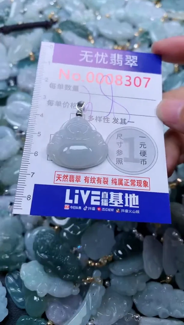 颈饰未镶嵌翡翠8307