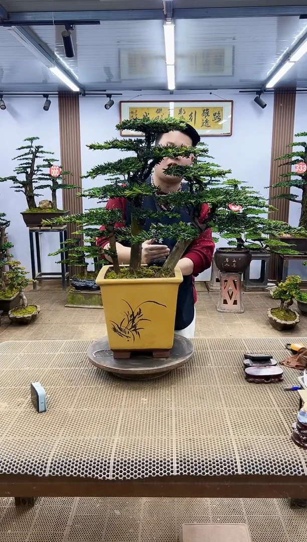 【闪购商品】000000000