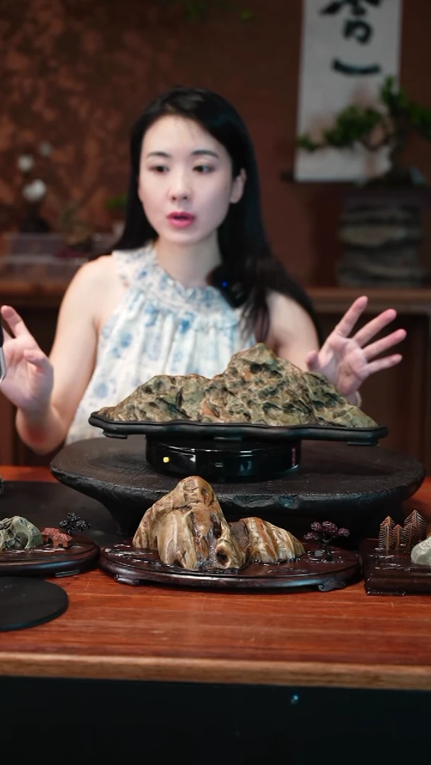 无花朵九龙壁盆景盆景盆景