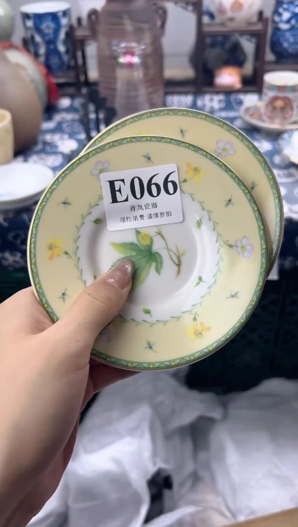 瓷片大*    E066