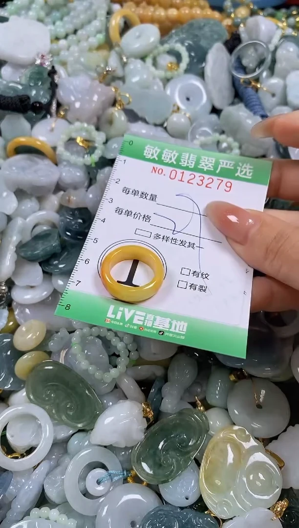 【闪购商品】翡翠颈饰未镶嵌闪购0123279