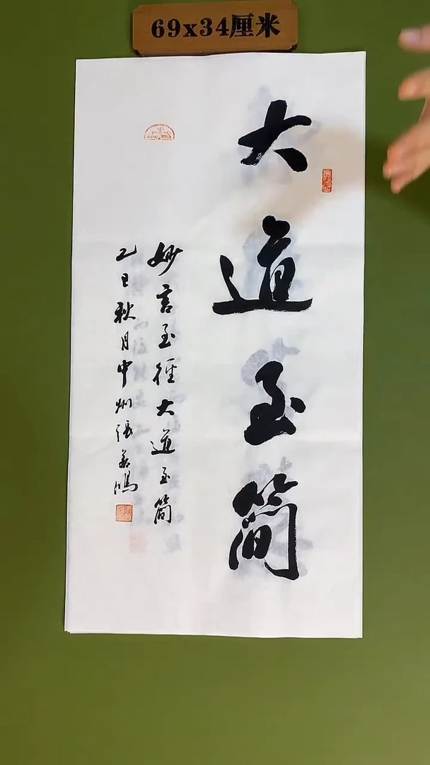 书法书法 张若鸿 尺寸69cm*34cm