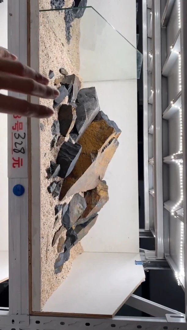 13号鱼缸造景（不含底砂）