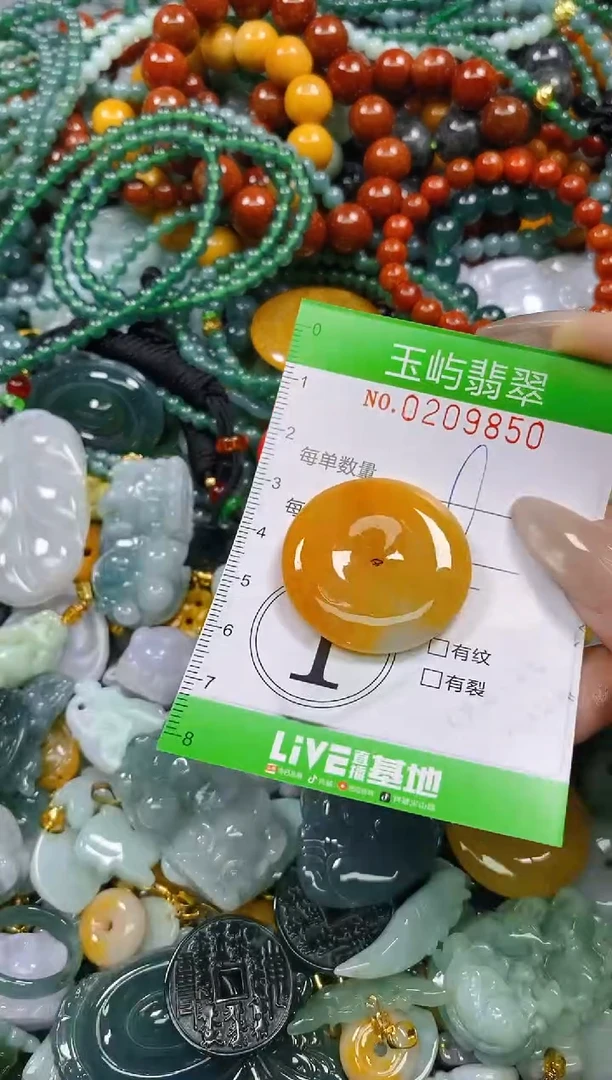 颈饰未镶嵌翡翠闪购0209850