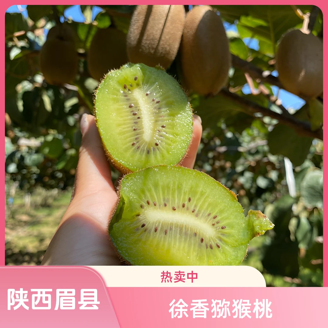 chuziyuan/楚秭源徐香猕猴桃新鲜水果应当季绿心奇异果整箱包邮