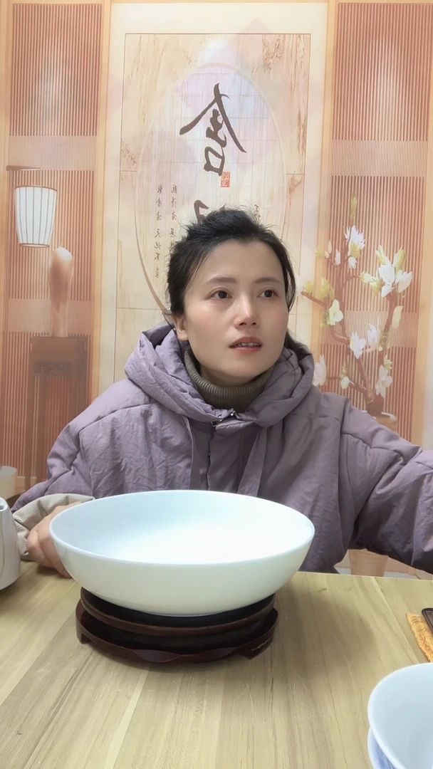 9英寸景德镇高温高端白瓷深盘 1个