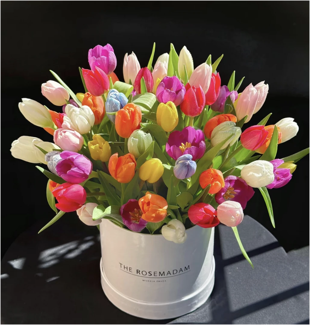 郁金香花疙瘩【荷兰进口包对版】《居家办公优选》（不参与满减）