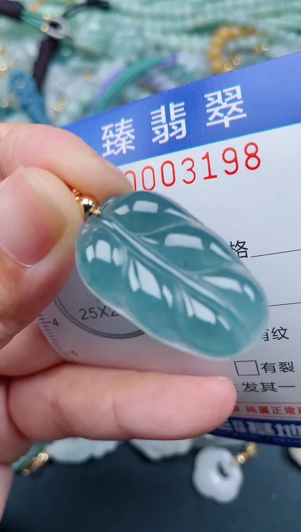 翡翠未镶嵌颈饰.0003198
