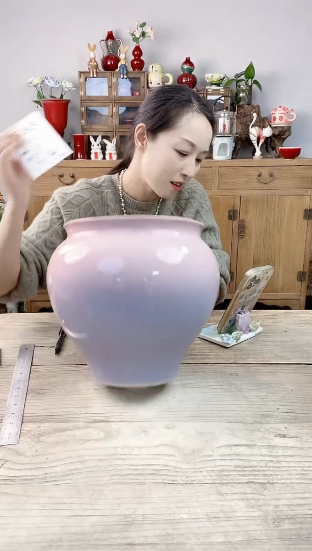 小玩子花盆直播编号553