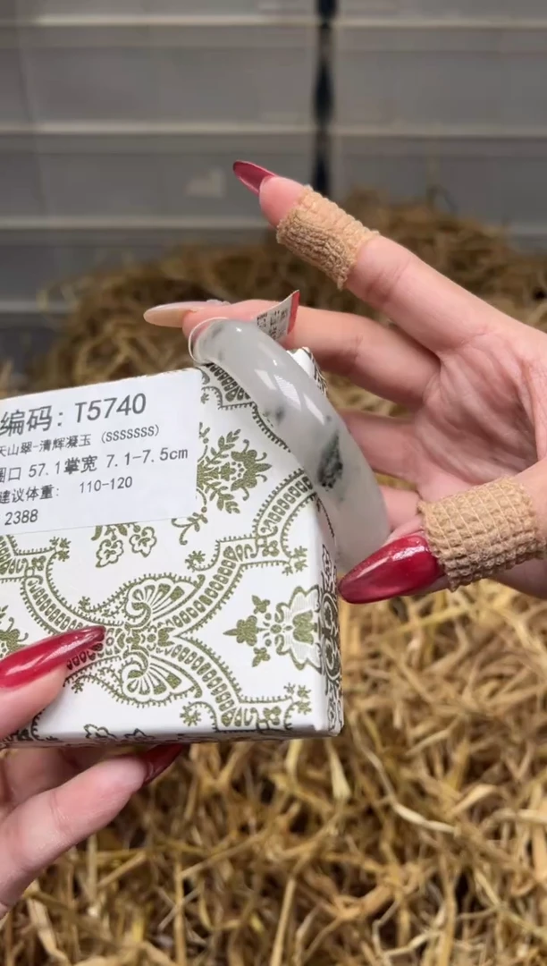 未镶嵌手镯石英质玉T5740