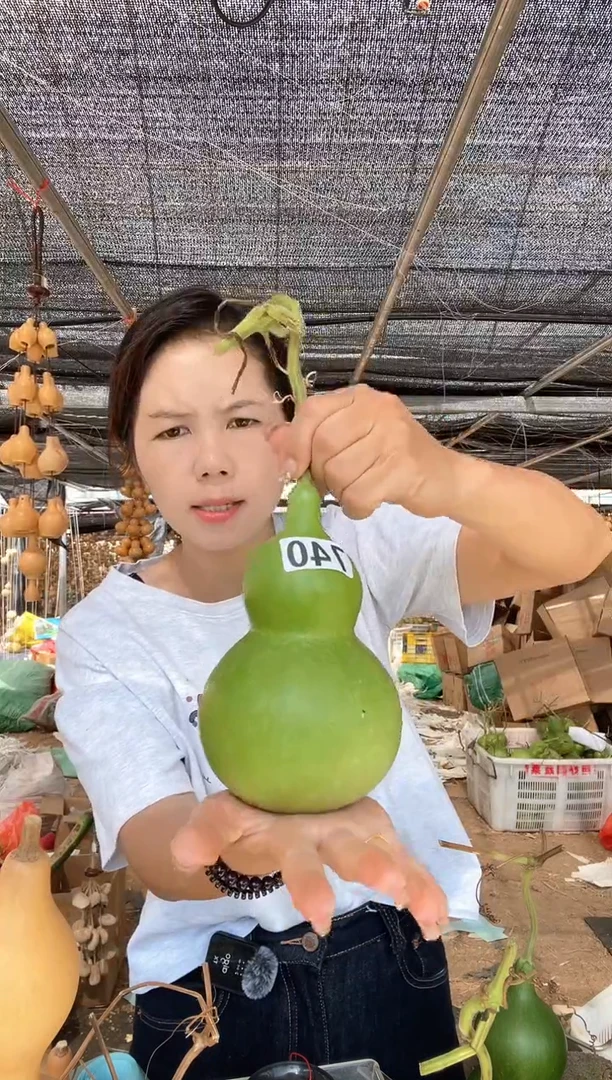 740天然葫芦摆件 一物一拍龙头不保售后