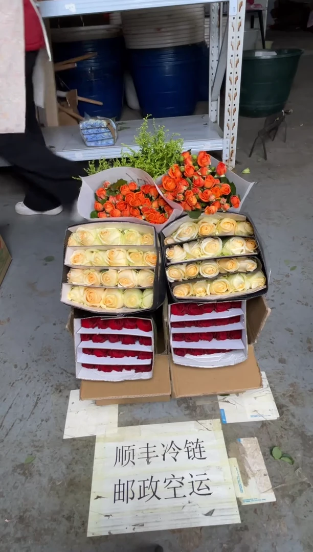 高原红20枝+香槟20枝+橙色芭比10枝+黄莺