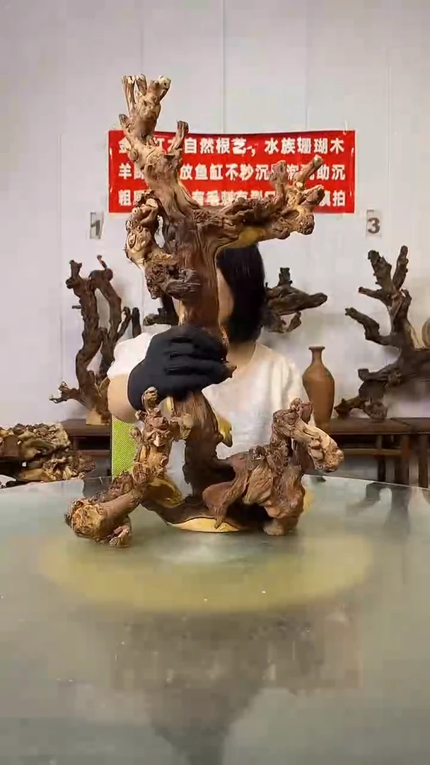 香榧木嘉****艺金丝红木   羊蹄甲
