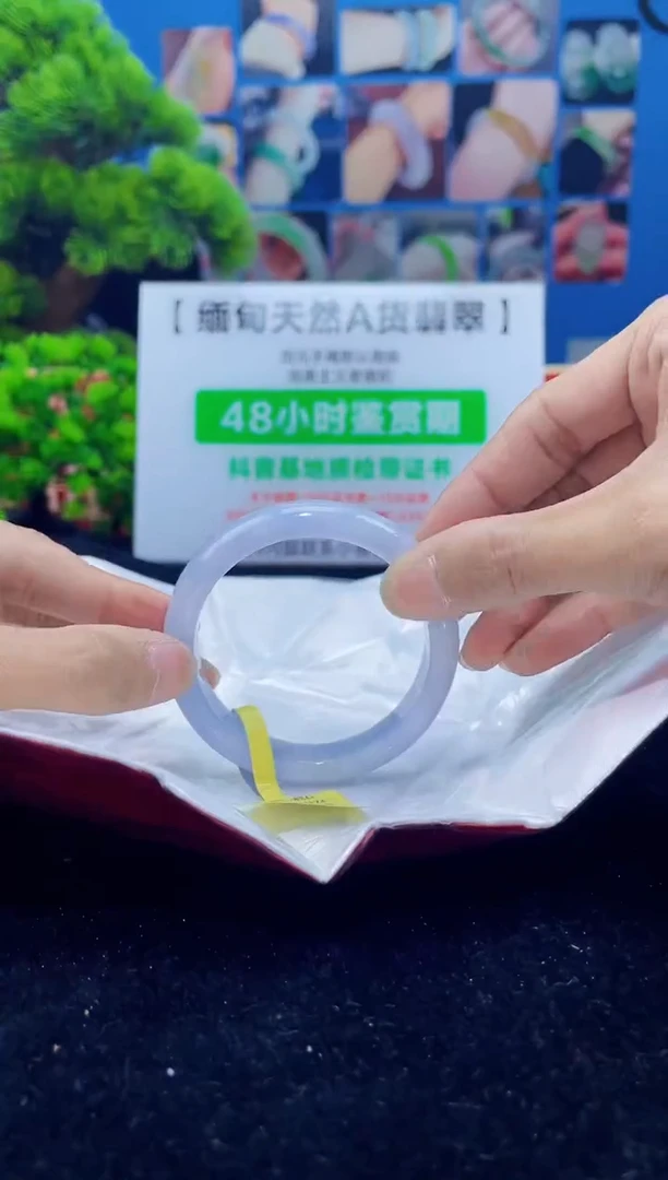 【闪购商品】翡翠手镯未镶嵌手镯8