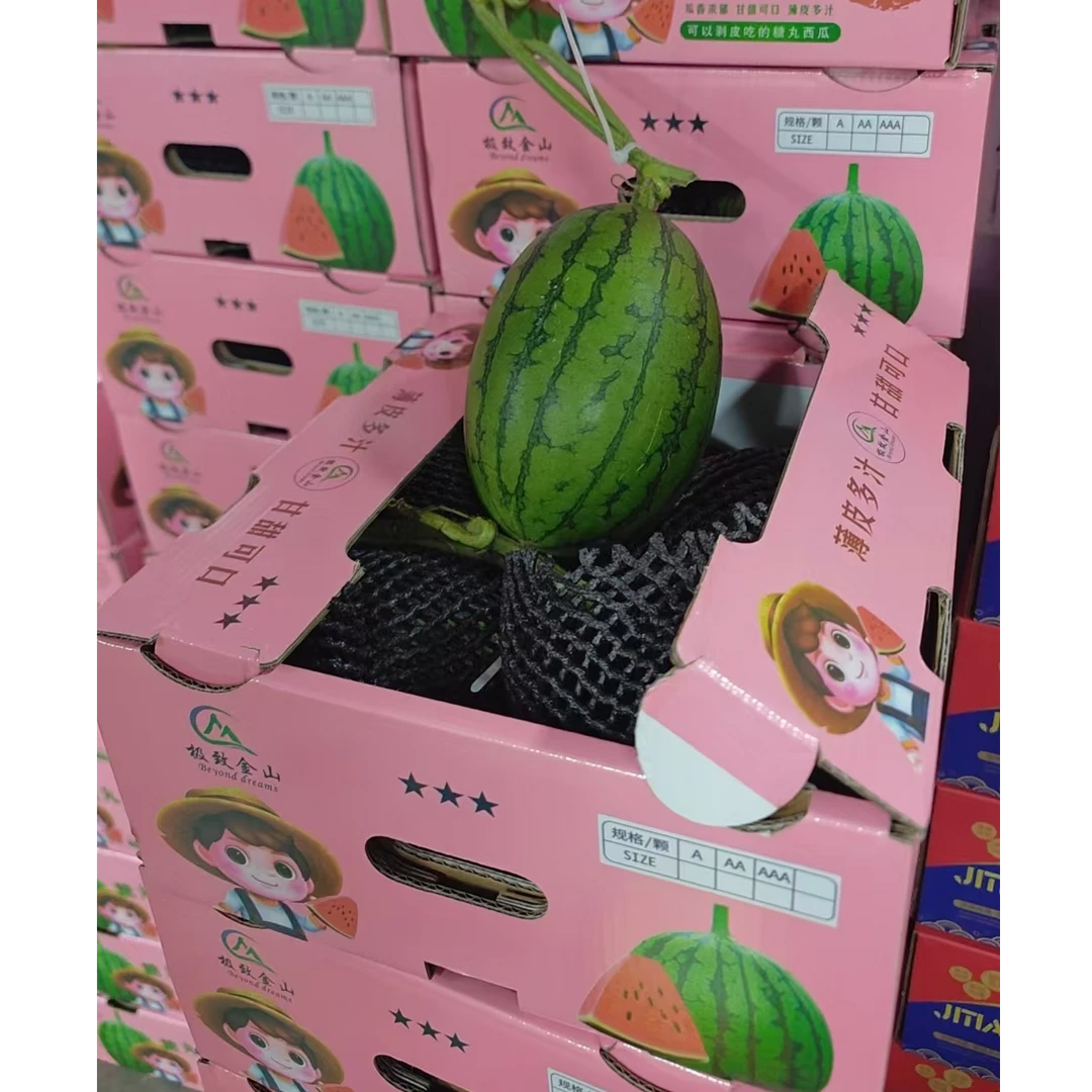 【1箱】小糖丸西瓜 1箱/4颗 仅大同市平城区云冈区可拍