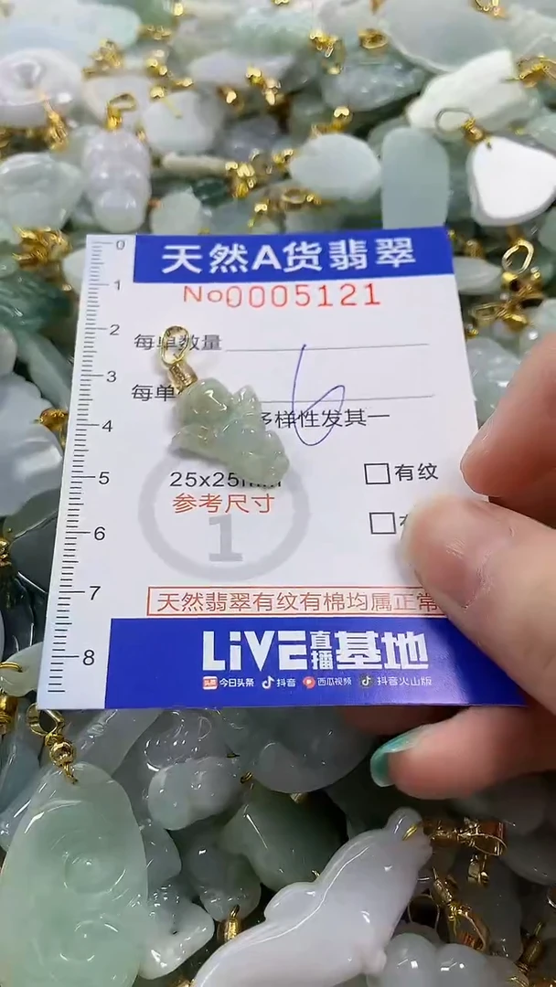 颈饰未镶嵌翡翠纯天然货翡翠