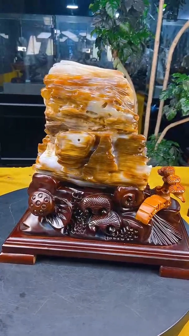 硅化玉珠宝奇石未镶嵌1