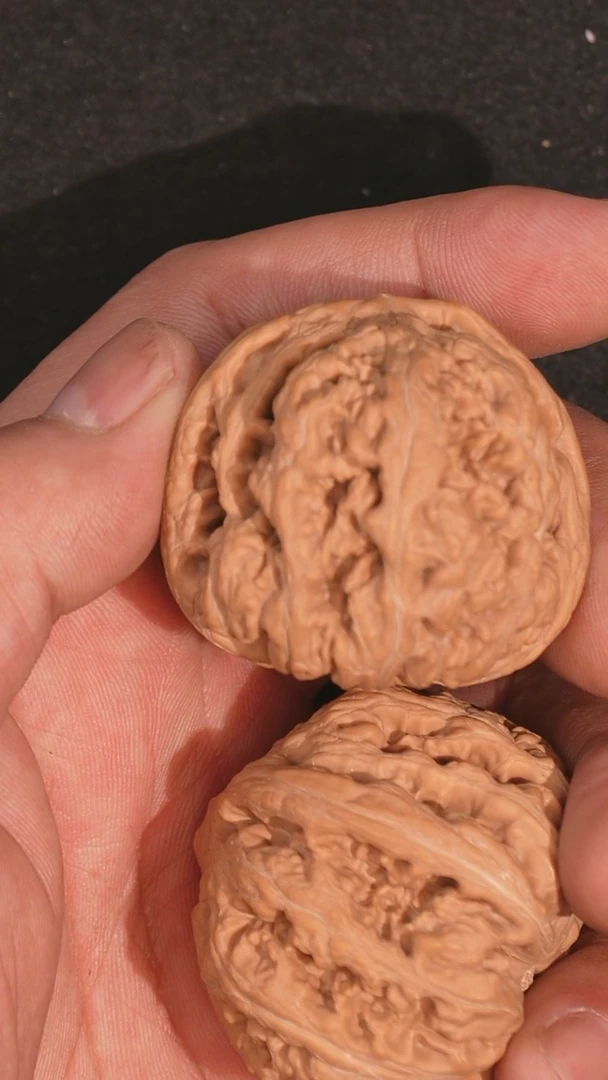 【闪购商品】文玩核桃把件粗筋44全品