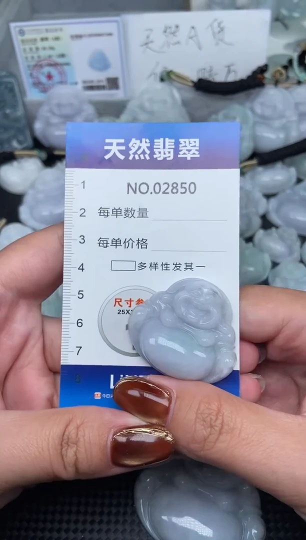 颈饰未镶嵌翡翠纯天然A货翡翠2850