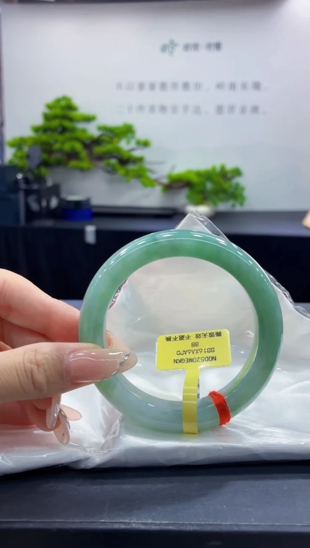 未镶嵌手镯翡翠3