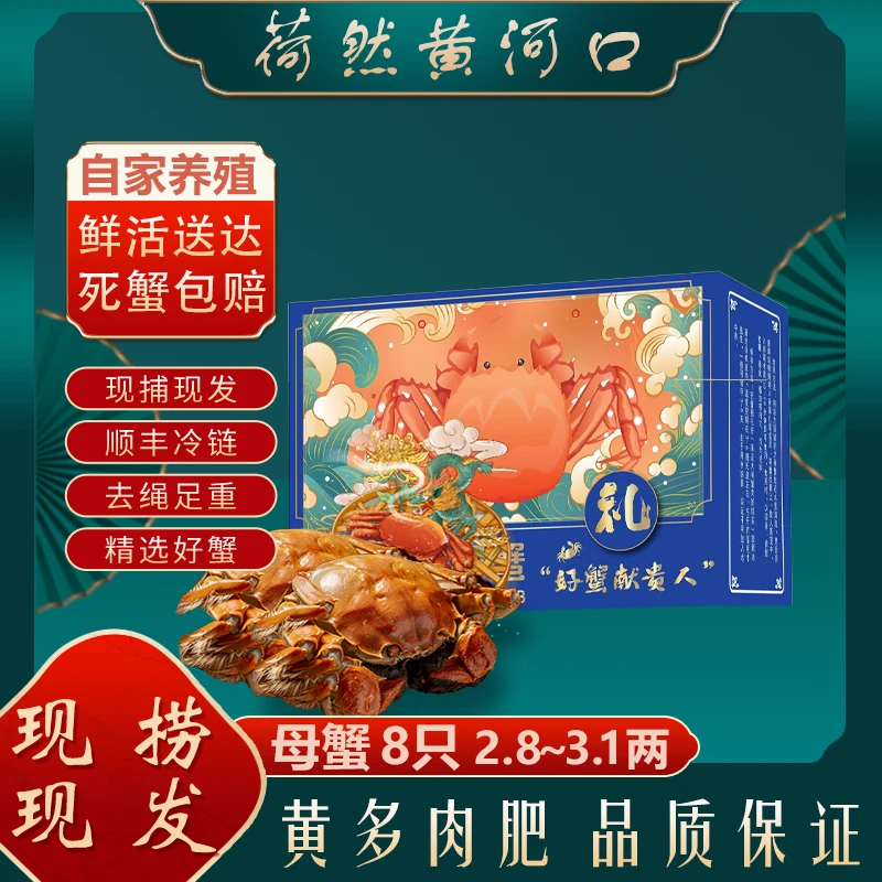 【鲜活母蟹】大闸蟹精选2.8~3.1两母蟹 到手8只  顺丰礼盒包装