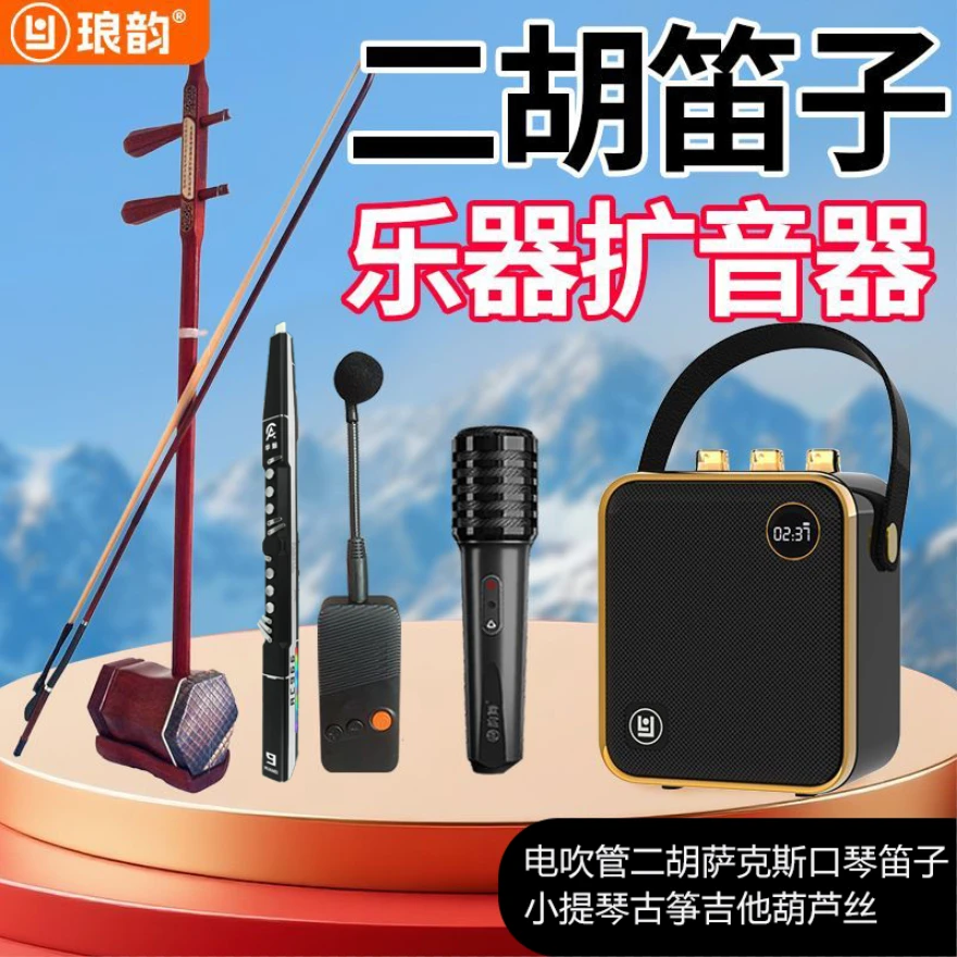 琅韵电吹管古筝古琴二胡专用无线扩音器专业蓝牙音响乐器音箱