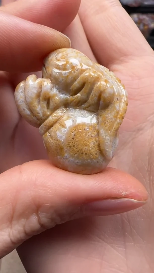 【闪购商品】硅化珊瑚（珊瑚玉）颈饰未镶嵌229