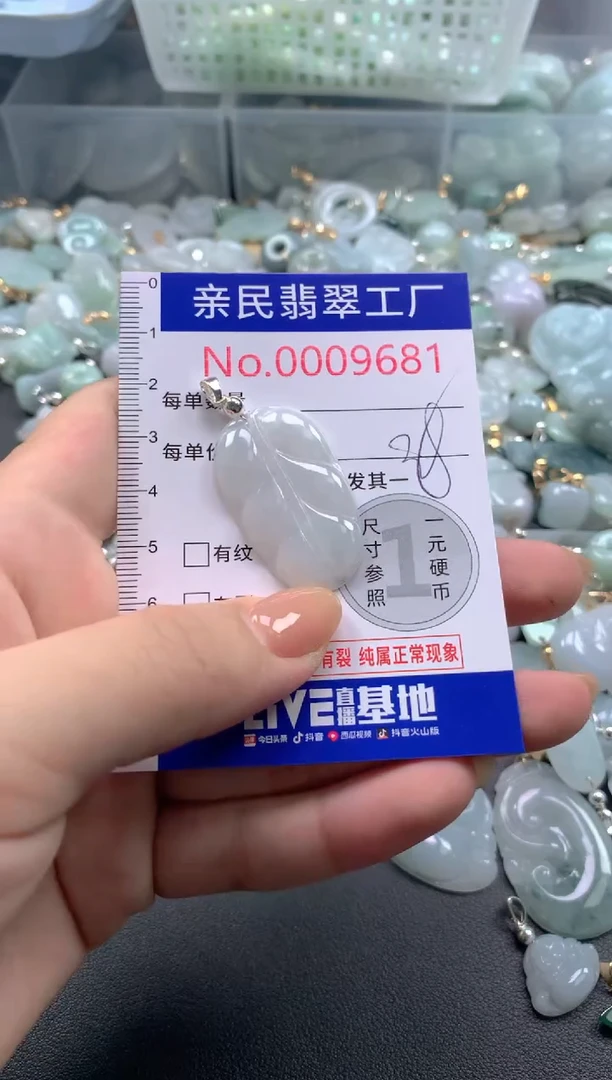 颈饰未镶嵌翡翠9681